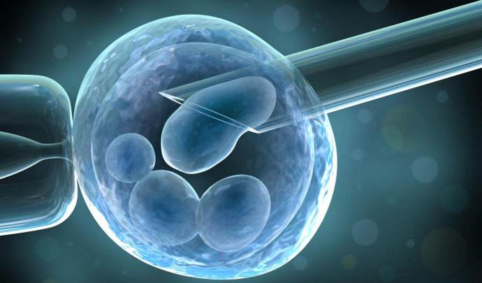 上海pvc廠家提升產(chǎn)品質(zhì)量的方法有哪些